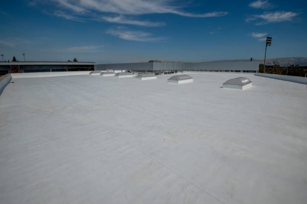Best Solar Panel Roofing Installation  in Salem, IL