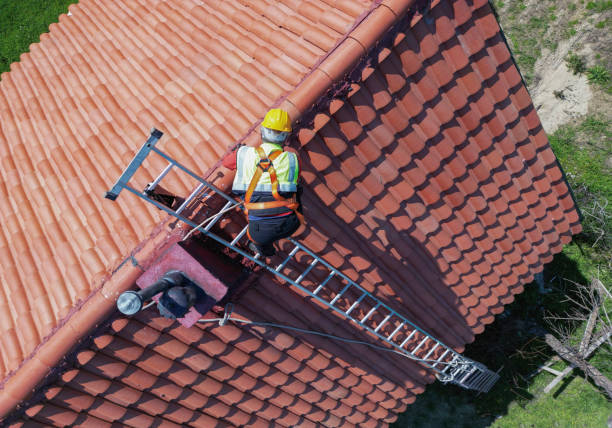 Best Roof Ventilation Installation  in Salem, IL