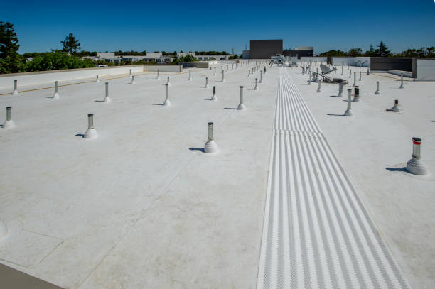 Best Roof Leak Repair  in Salem, IL